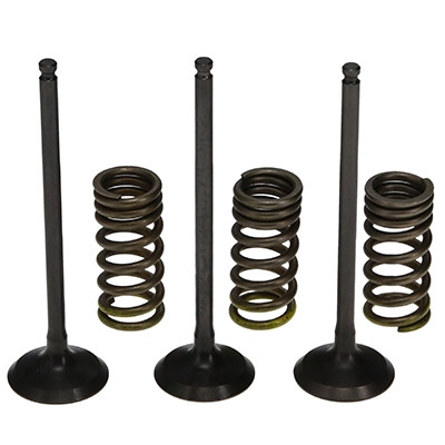 ProX Racing Parts ProX Zestaw Zaworów Ssących Stalowych (+sprężyny) YZ250F '01-13 + WR250F