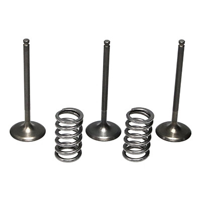 ProX Racing Parts ProX Zestaw Zaworów Ssących Stalowych (+sprężyny) YZ450F'03-09+WR450F'03-15